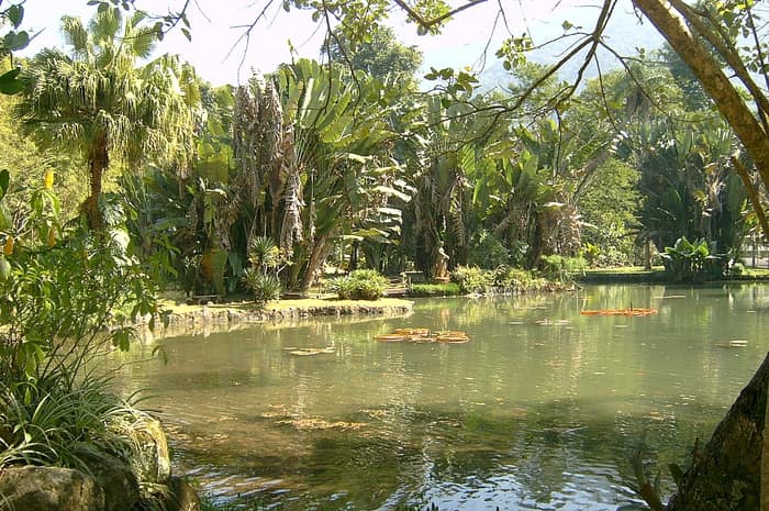 Vista de la zona